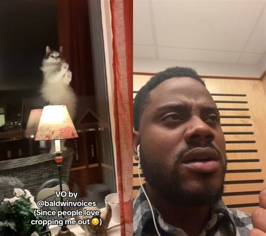 #duet with @Anniken #dracula