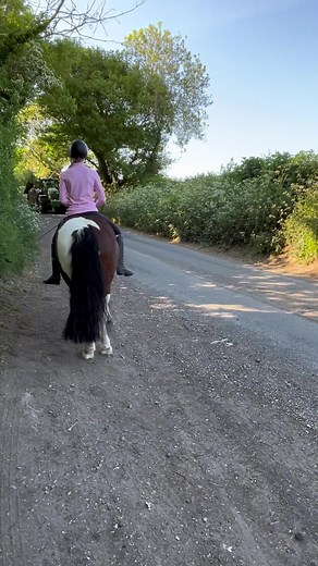 Horse Bolting Fun Hacks After Spooking Incident