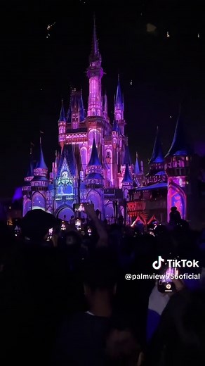 Magic Kingdom Firework Show: Happily Ever After Experience