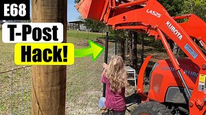 3 different ways to install metal T-posts. How to install T-post fence for sheep, goats, cows and horses on 20 acre project farm / homestead in North Florida. #farmfence #farm #fence #country #countrylife #farmlife #pineygrovehomestead #fencehack #hack #diyfence #DIY | Piney Grove Homestead and Mini Farm | Facebook
