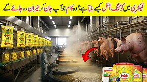 67K views · 1.4K reactions | How Cooking Oil Is Made in Factories Ever wondered how the cooking oil you use every day is made? In this video, we take you inside the factory to show the complete process — from seeds to the clear golden oil on your table. Discover the machines, refining steps, and quality checks that make cooking oil safe and ready for your kitchen. #CookingOil #OilFactory #HowItsMade #FoodIndustry #ManufacturingProcess #OilProduction | Amazing Info | Facebook