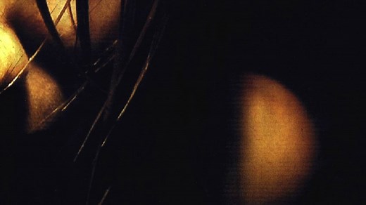 [REC] Summary, Trailer, Cast, Where to Watch and More