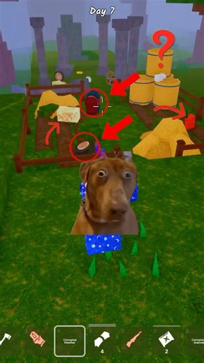 99 Nights in the forest ruby chest 🤯 #roblox #robloxedit #rblx #gameplay #trending #shorts