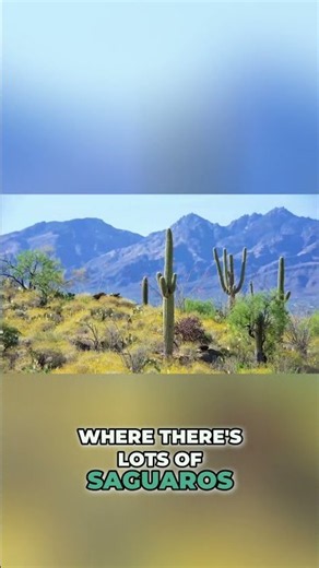 Green Valley's Nature | Mountains, Cacti, and Peaks #shorts