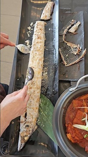 갈치가시 바르기의 달인이란😎