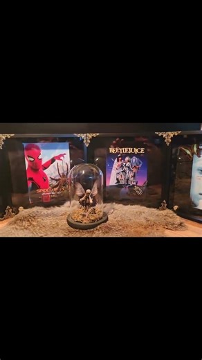 Movie shadow boxes with real insects/arthropods