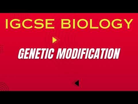 How Scientists Change DNA 😲 | Genetic Modification Explained | IGCSE Biology
