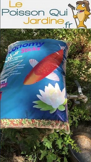 🐟 Aliment stick pour bassin – Nourrissez vos poissons facilement 🌿