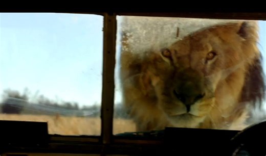 56K views · 311 reactions | Earth’s population: 7 billion humans, 700 billion animals. What happens when we lose control? The NEW series ZOO continues 8.30 tonight on TEN after MasterChef. | Channel 10 | Facebook