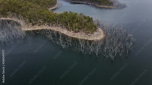 Dead Trees In Advancetown Lake - Hinze Dam In Queensland, Australia - aerial