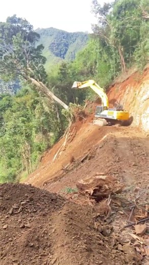 Tree being chopped down by JCB in one minute, strange incident #tree