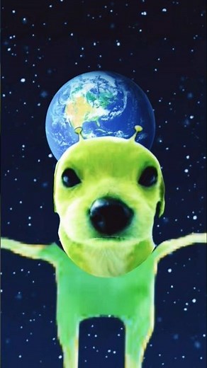o cachorro é um alien kkkkkkkk