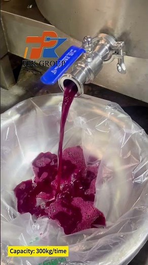 Hydraulic Fruit Vegetable Press Machine