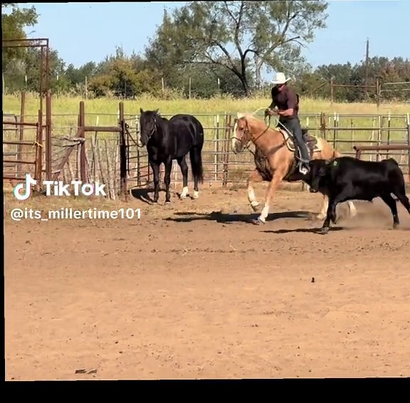 Understanding Crossfire in Team Roping Techniques