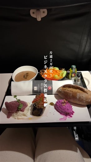 片道2万円代で楽しむビジネスクラス旅行