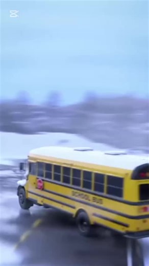 Bus Accident Insights and Safety Tips