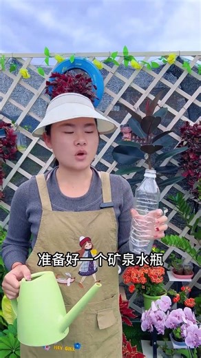 Easy Money Tree Propagation: Root Cuttings in 3 Easy Steps