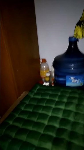 Hasil kamera Xiaomi redmi note 3Pro di malam hari tanpa ada setitik cahaya dari lampu