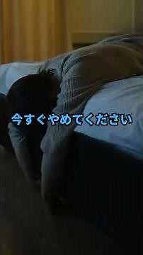夜の反省は脳への虐待です #心理学 #雑学