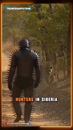 Siberian Hunters Once Wore Armor Covered in Spikes to Fight Bears 🐻😳