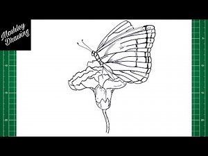 How to Draw a Butterfly on a Flower