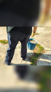 11K views · 86 reactions | Free Gas Forever! Build This DIY Biogas System - PART 6 Turn your waste into fuel! See how easy it is to transform organic matter like fresh pig feces into valuable biogas. One pig yields a surprising amount of energy—enough to cook for 70-100 hours! See how to build your own transportable biogas generator. #Biogas #SustainableEnergy #DIYEnergy #RenewableResources #PigFarming | Hidden Technology | Facebook