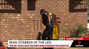 A 60-year-old man has been raced to hospital after he was stabbed in the leg at Renown Park. Download the 7NEWS app: 7news.link/7NEWSapp #7NEWS | 7NEWS Adelaide