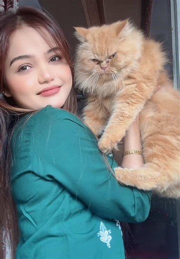 ရုပ်ကို ကြည့်အုန်း 🫶🏻🤎 #fyp #foru #meow #foryourpages #catlover