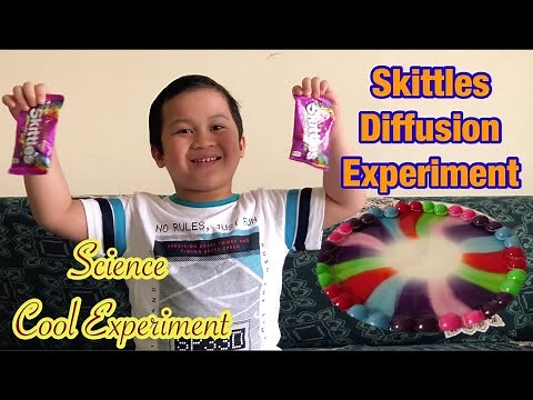 Dissolving Candy Art|| Melting Skittles Science Experiment|| Rainbow Experiment