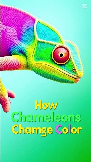 How Chameleons Change Color! 🦎✨