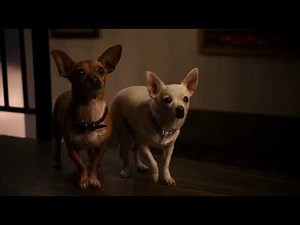 beverly hills chihuahua 2 (2011) - papi jr gets saved by delgado
