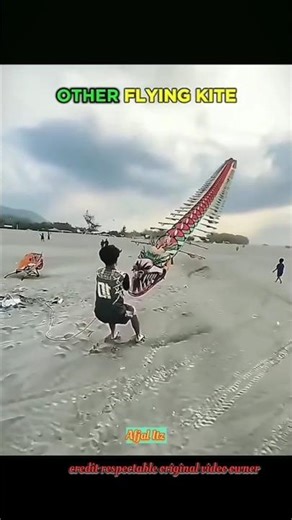 Other Flying Kites vs This One 😳🪁 | Wait For End | Last One Crazy 🔥