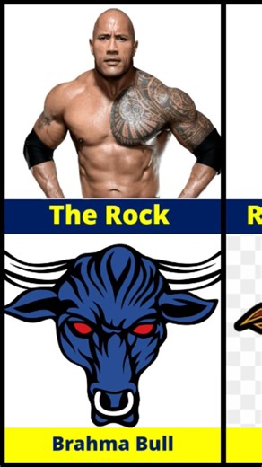 WWE Wrestlers & Their Logos 😱🔥