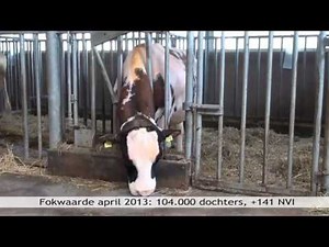 Zestien jaar oude Kian in beeld