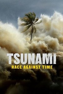 Tsunami: Race Against Time: Season 1 | Rotten Tomatoes
