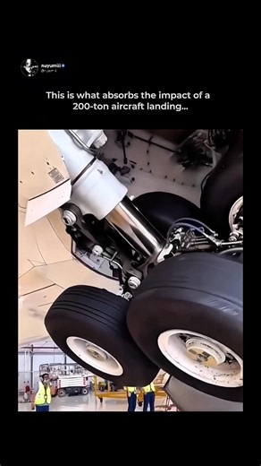 The Real Size of Airplane Landing Gear 😳