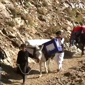 ▶️ As millions of Afghans are set to go to the polls on Saturday's (September 27) presidential election, officials have been rushing ballot boxes and other essential equipment out to remote polling center using donkeys and even porters. 👉 As Afghanistan prepares for presidential elections on Saturday, the Taliban is again threatening to disrupt the polling, while the U.N. Assistance Mission in Afghanistan has urged the insurgents to refrain from attacking civilians exercising their democratic r