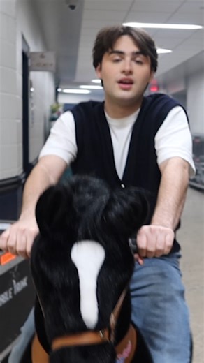 12K views · 267 reactions | It's hard being a cowboy. 鸞 The #DZWorldsCollideTour is galloping...  | Walt Disney Records | Facebook