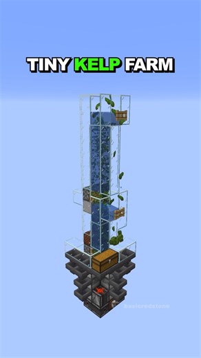 How much can a tiny kelp farm make on Donut SMP? #shorts