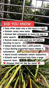 12K views · 77 reactions | 易 Strange Facts About Genius Minds #HistoryFacts #GeniusLife #FunKnowledge | Amazing Facts | Facebook