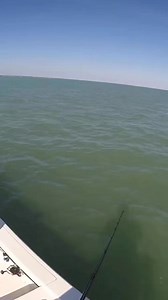 37K views · 212 reactions | What an incredible moment caught on camera. #JohnFishingAdventure | John Fishing Adventure | Facebook