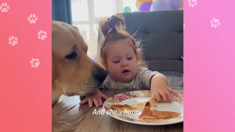 Huge puppy meets his baby sister – and never leaves her side