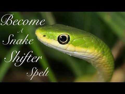 Snake Spell (Become a Snake Shifter)