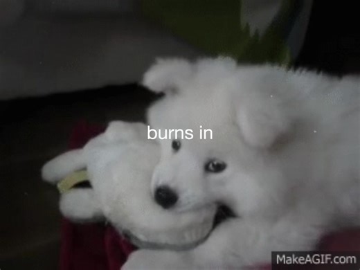 #dogs #alexg #lyrics #gif i dontknow if i can keep distracting myself | lyrics