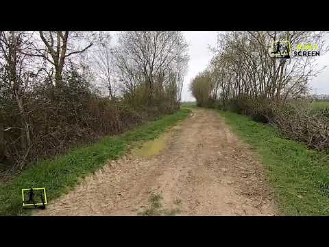 Run'S Screen. spécial tapis de course. A pied dans la campagne. Route qui défile. Virtual trail run