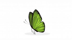 Green Butterfly Images – Browse 1,155,216 Stock Photos, Vectors, and Video