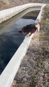 1.2K views · 29 reactions | Did You Know Algae is a Plant?! Did you...