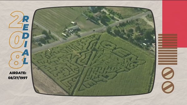 The 208 Redial: The gem of the mazes made of maize