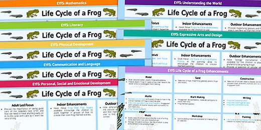 Life Cycle Of A Frog Medium Term And Enhancements EYFS Planning
