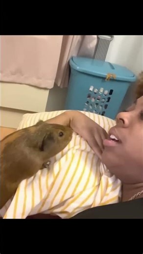 Unexpected Animal Moment